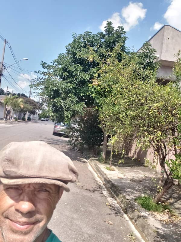 Fruta Urbana Romãs - Image 2