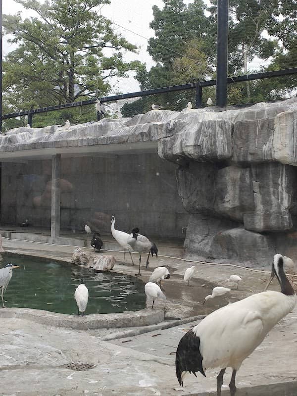 Zhongshan Park-Zoo - Image 1