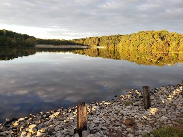 Pine Lake Picnic Area - Image 1