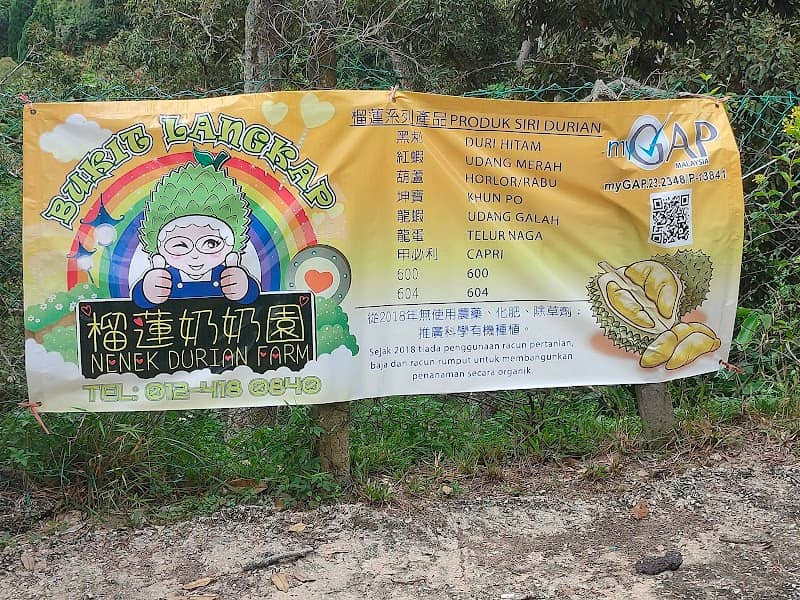 Nenek Durian Farm - Image 1