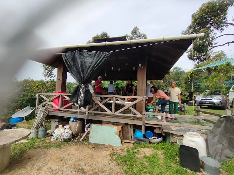 Nenek Durian Farm - Image 2