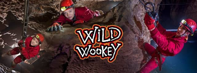 Wild Wookey - Image 1