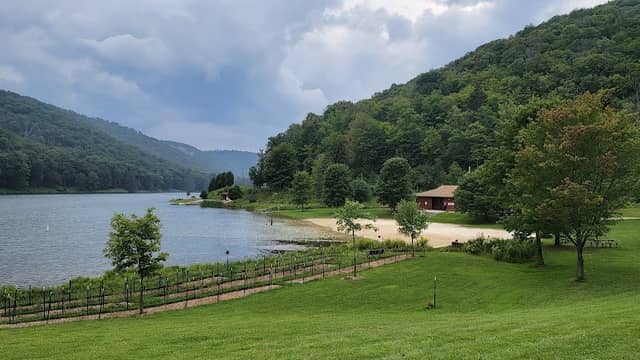 Lyman Run State Park - Image 2