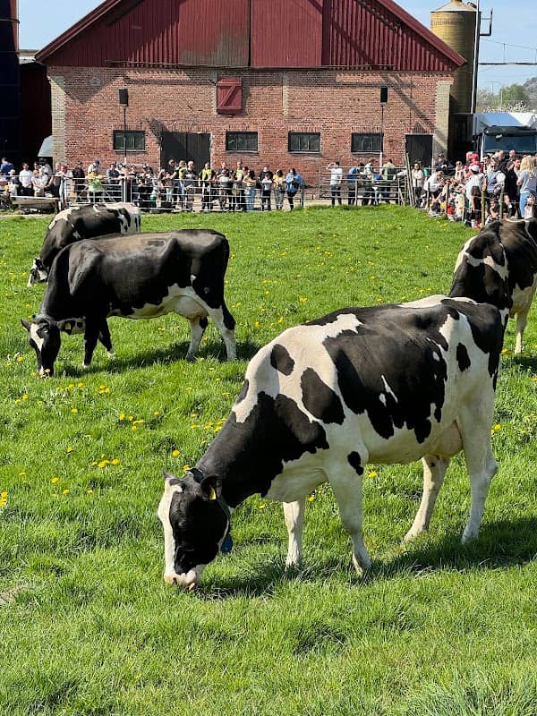 Kåhögs Gård - Image 1