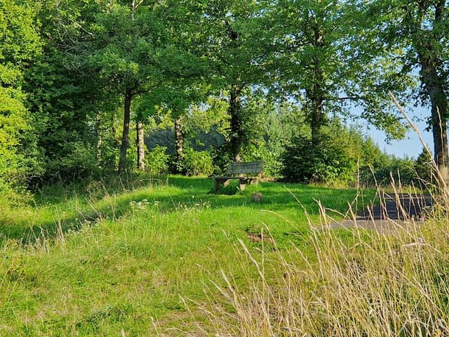 Papenkaule - Image 1