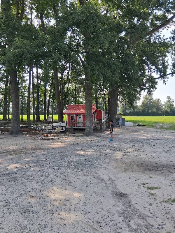 Moo Moo’s Farms - Image 1
