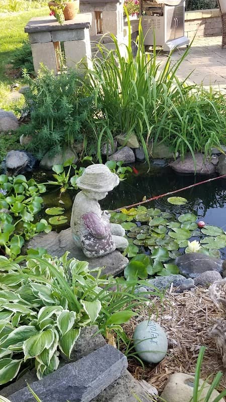 Wyd creek - Image 1