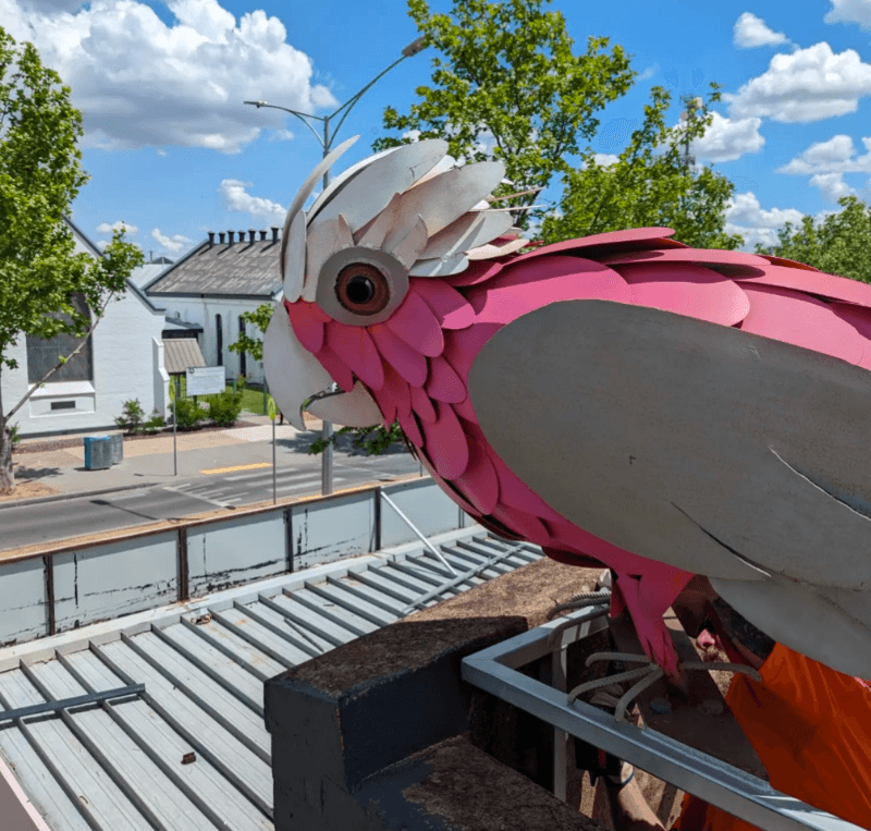 Galah Sculpture by Tank & Tobin Sculpture Works - Image 1