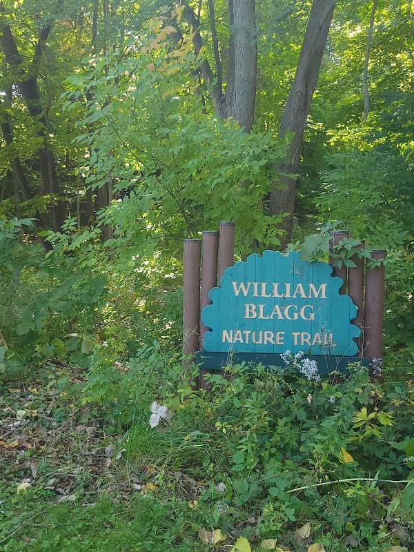 Novotny Park - Image 2