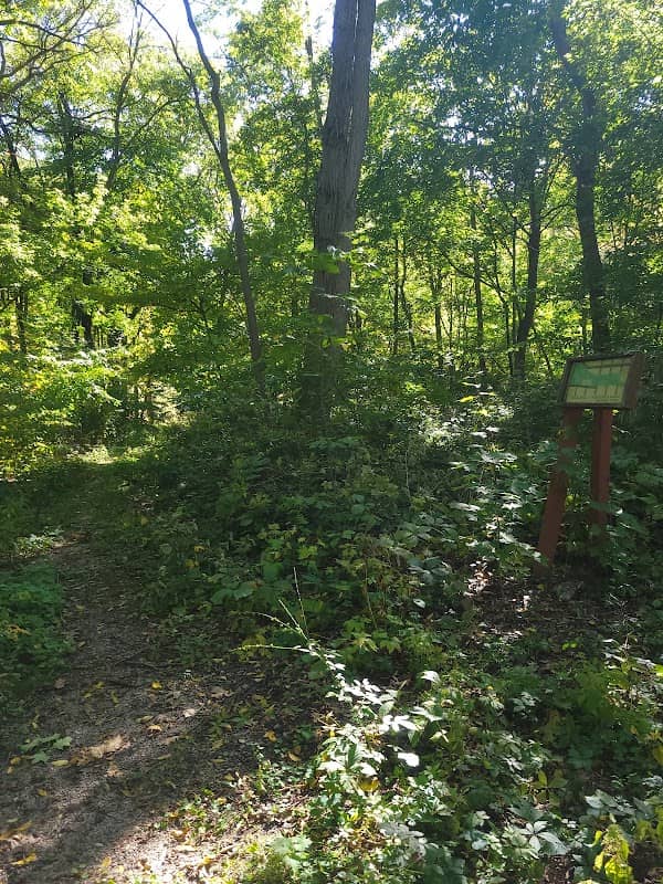 Novotny Park - Image 1