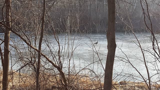 Bur Oaks Park - Image 2