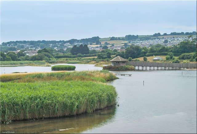 Island Hide - Image 2
