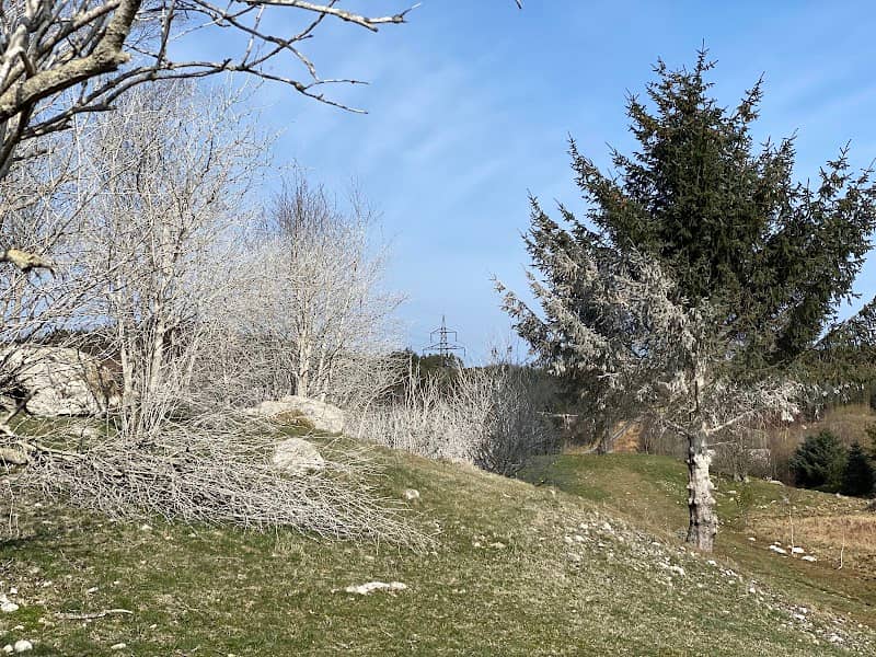 Kalbergskogen - Image 1