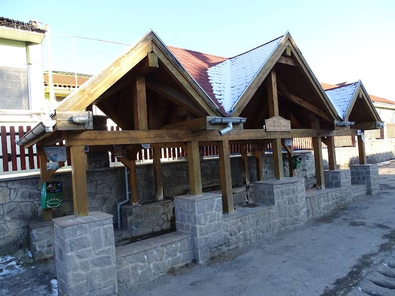 Izvor apă minerală - Image 1