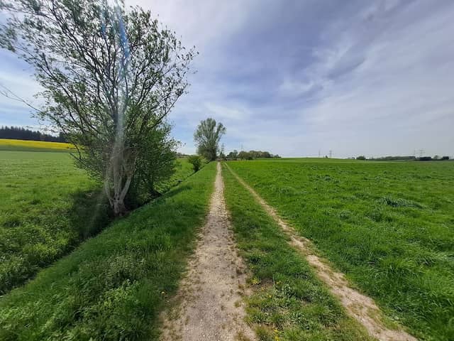 Dirmeyer-Senke - Image 2