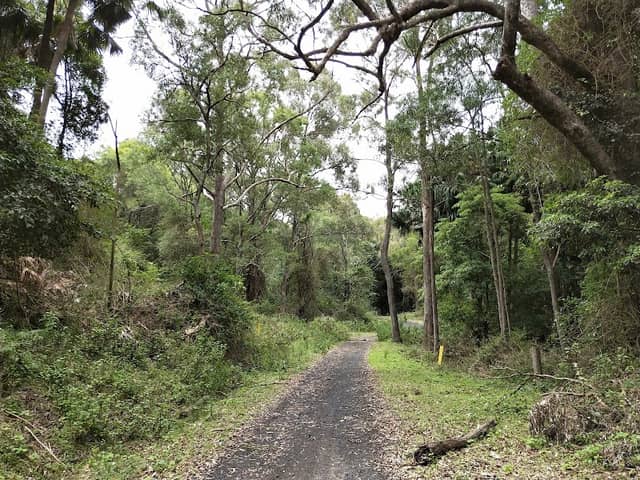 Illawarra Escarpment State Conservation Area - Image 1