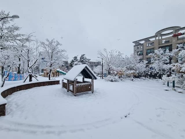 잎새 바람 공원 - Image 1