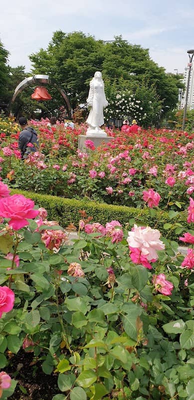 중랑천 장미터널 - Image 1