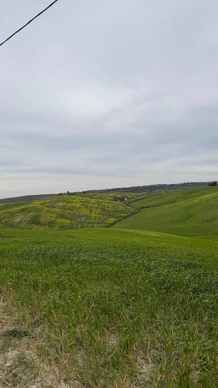 Belvedere di Deco - Image 1
