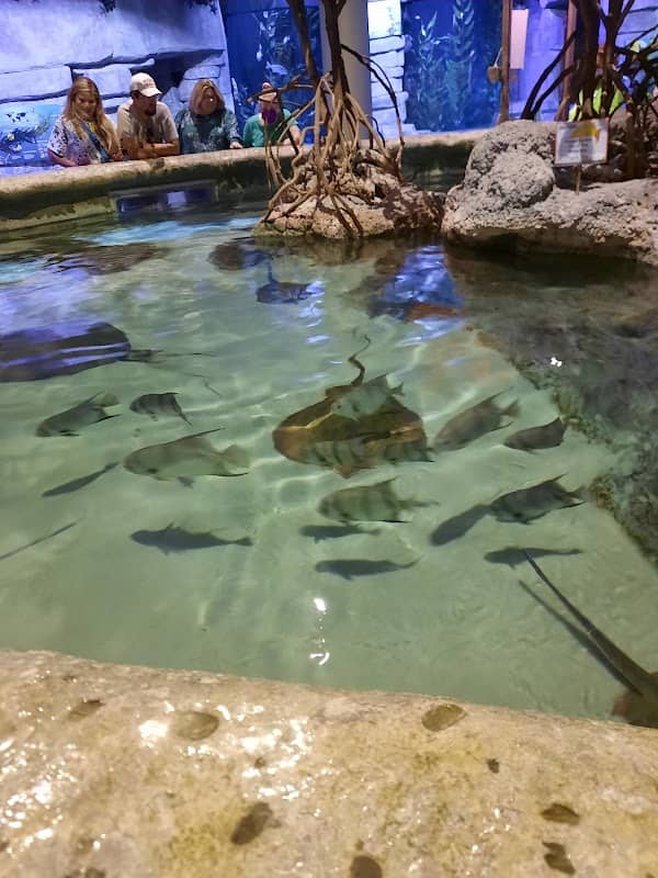 Oklahoma Aquarium - Image 2