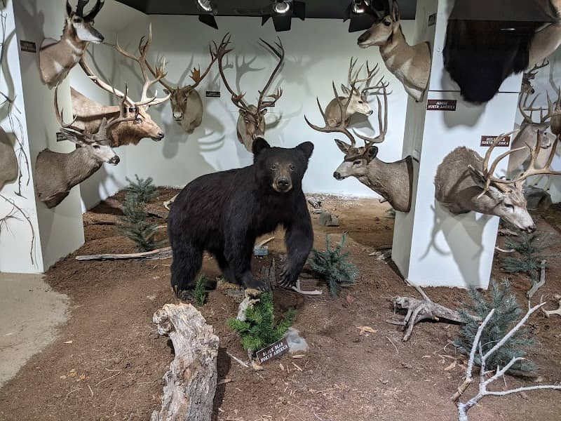 Buckaroo Hall of Fame - Image 2