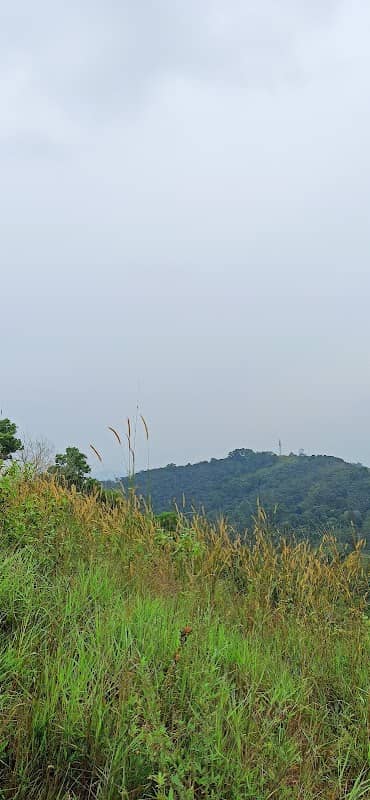Trekking view point - Image 1