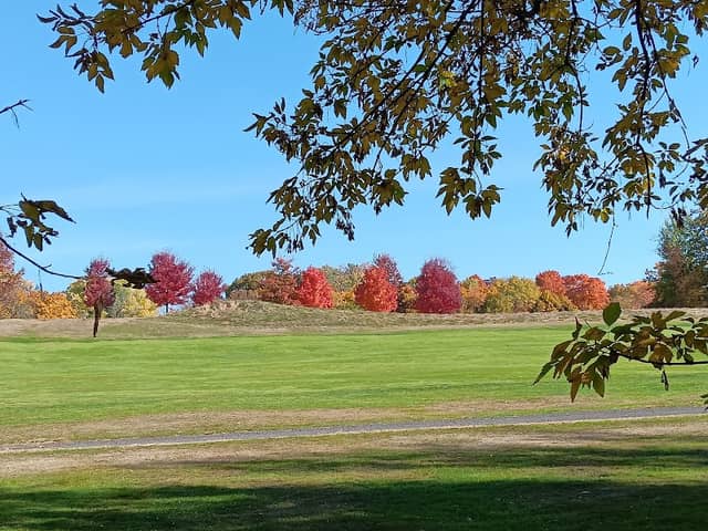 Frear Park - Image 1