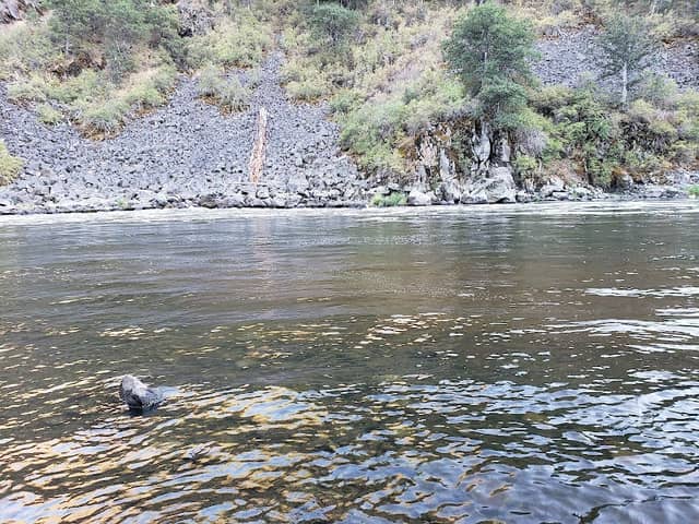 Upper Klamath Wild and Scenic River - Image 1