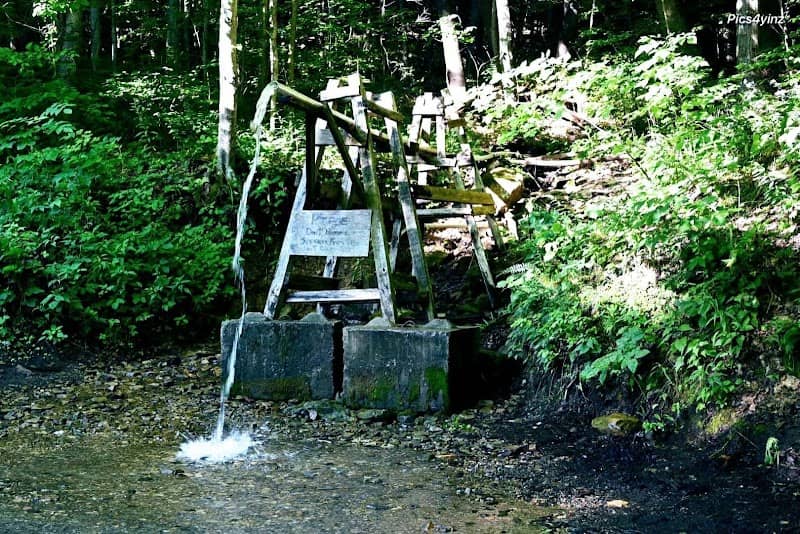 Darlington's Natural Spring - Image 2