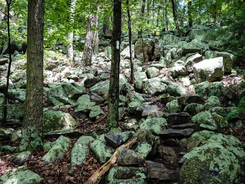 Rocky Mountain - Image 1