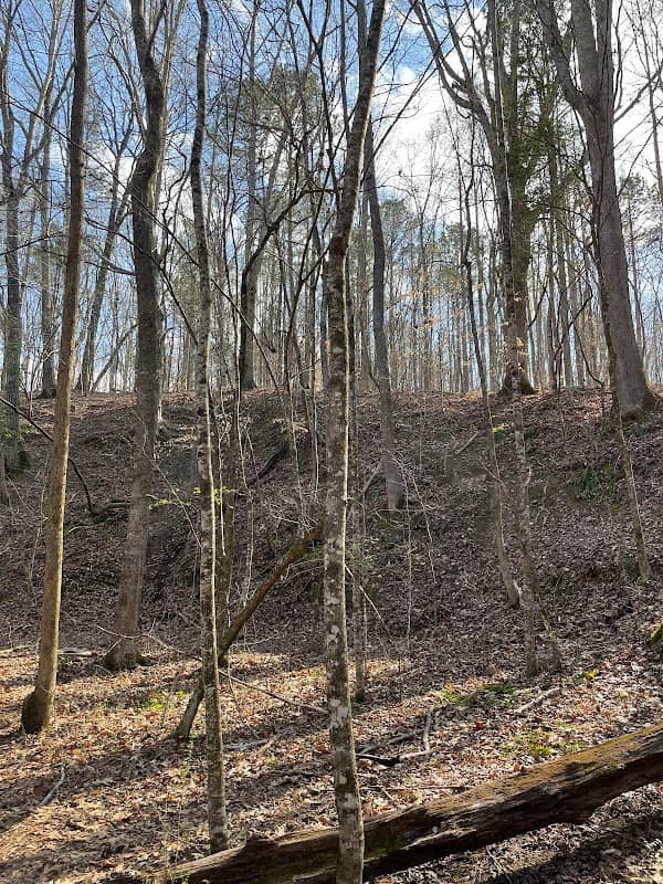 Steep Hill - Image 1