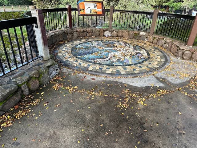 Santa Rosa Creek Culvert - Image 3