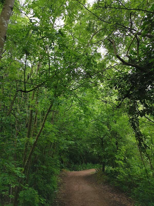 Stillwell Nature Reserve - Image 2