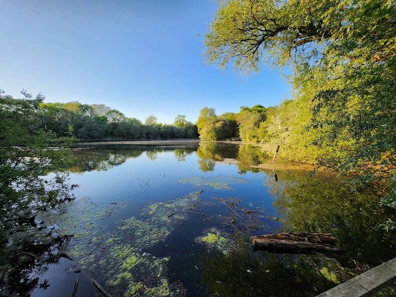 Stillwell Nature Reserve - Image 1