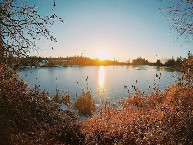 Nicomekl Park - Image 2