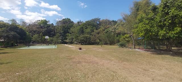 Tatay Mar's Ever Green Farm - Image 1