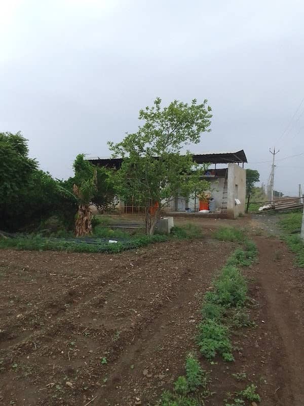 Shiv Farm - Image 1