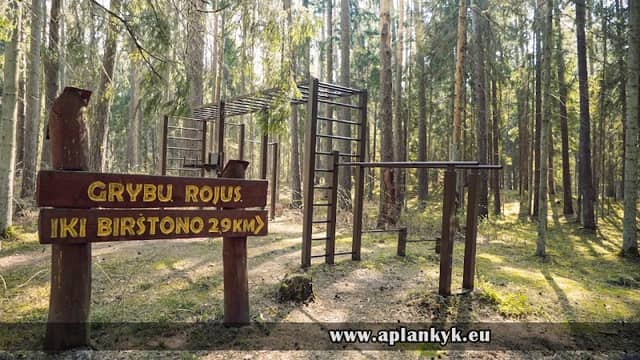 Žvėrinčiaus miško takas - Image 1