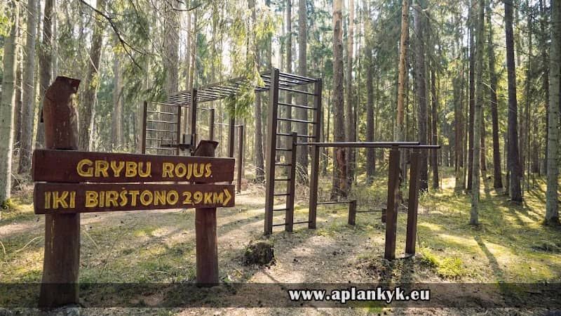 Žvėrinčiaus miško takas - Image 1