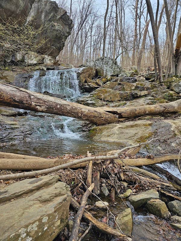 Buzzard Hill Trailhead - Image 1
