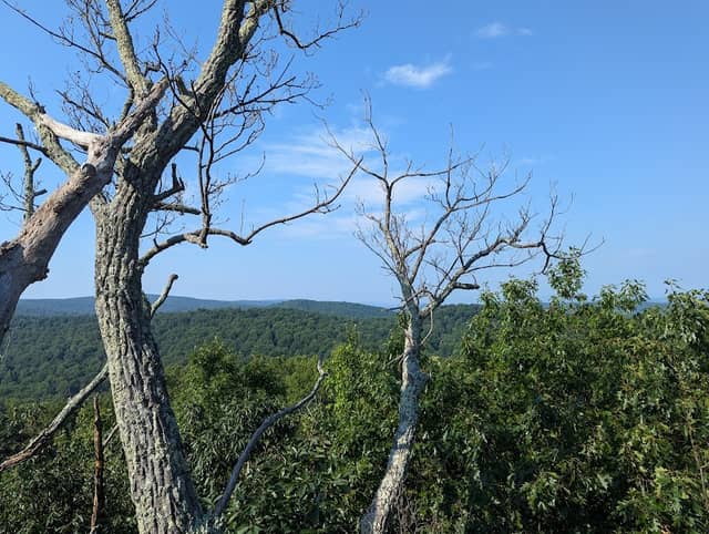 Buzzard Hill Trailhead - Image 2