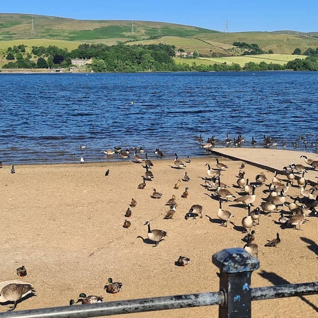 Hollingworth Lake - Image 2