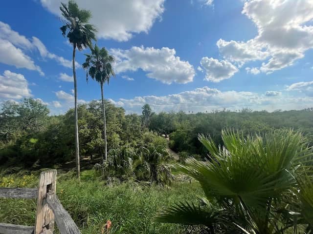 Lantana Hill - Image 1