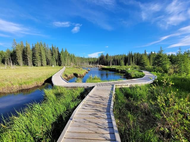 Beaver Boardwalk - Image 1