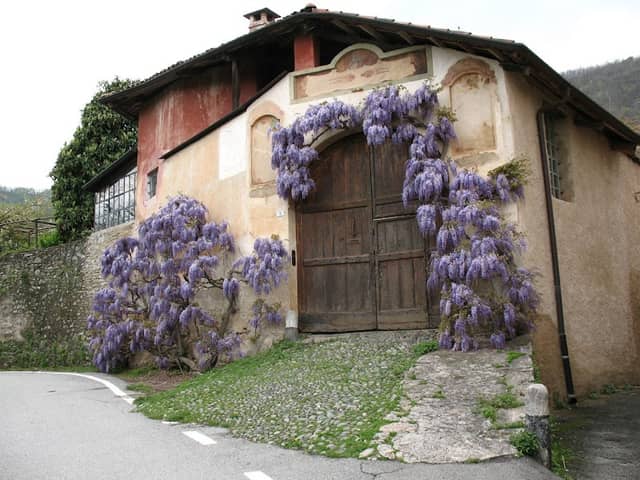 Il Fortelletto - Image 1