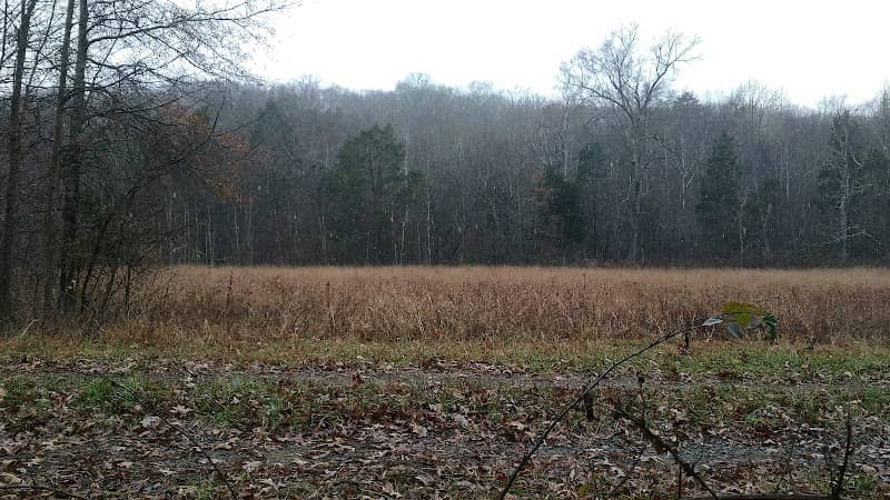 Beaver Pond Creek Wildlife Management Area - Image 2