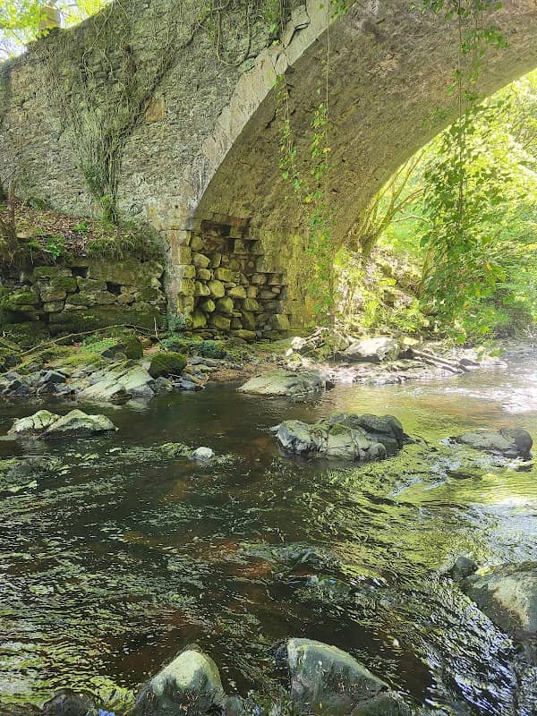 Billy's Bog - Image 1