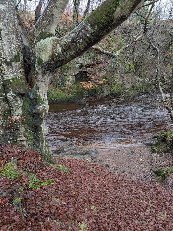 Billy's Bog - Image 2