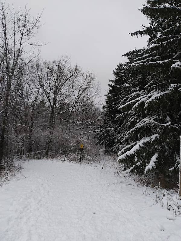St. Augustine/Loew Lake Trailhead - Image 2