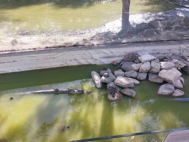 Laghetti del Parco della Resistenza - Image 2